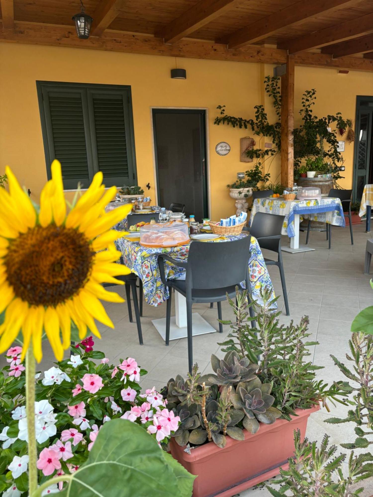 B&B Casa Martina Giungano Buitenkant foto