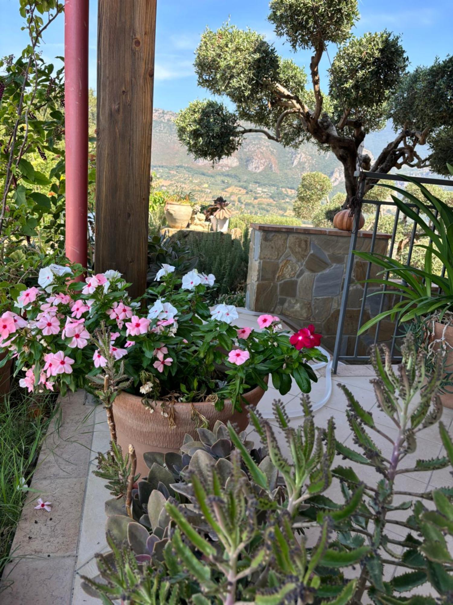 B&B Casa Martina Giungano Buitenkant foto