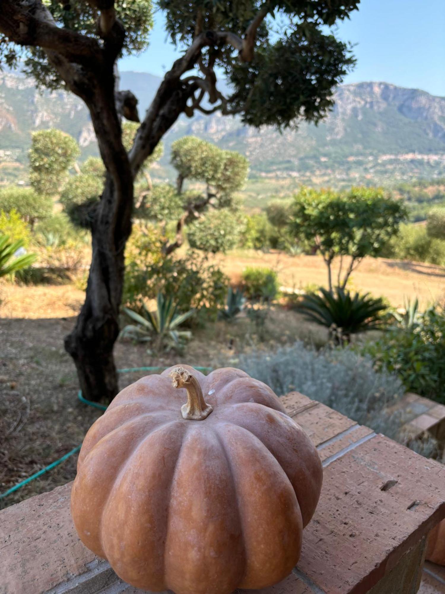 B&B Casa Martina Giungano Buitenkant foto
