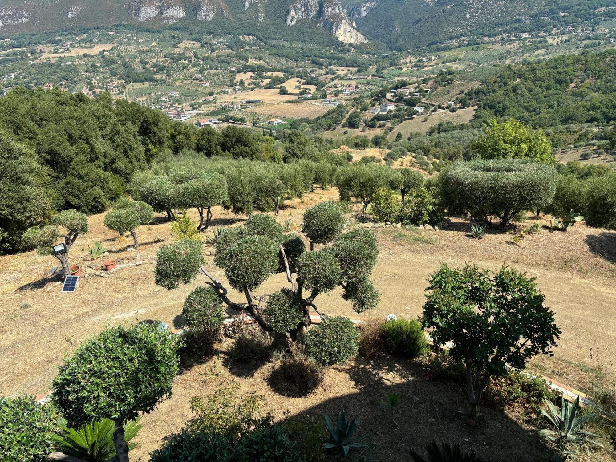 B&B Casa Martina Giungano Buitenkant foto